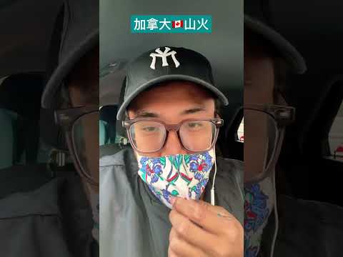 加拿大￼山火污染紐約「看，到處是煙霧彈！」