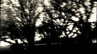 Video thumbnail of "Rain On The Scarecrow (John Mellencamp Cover)"