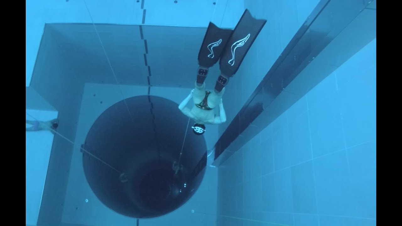 Umberto Pellizzari - Economia del Tuffo