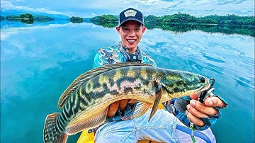 Câu Lóc Bông,Cá Ngựa tại Tà Đùng cùng chú (Khoa Tràng An) đài sư của Việt Nam