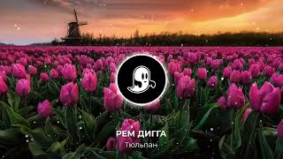 Рем Дигга - Тюльпан (Визуализация)