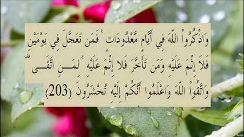القران الكريم سورة البقرة الاية 203