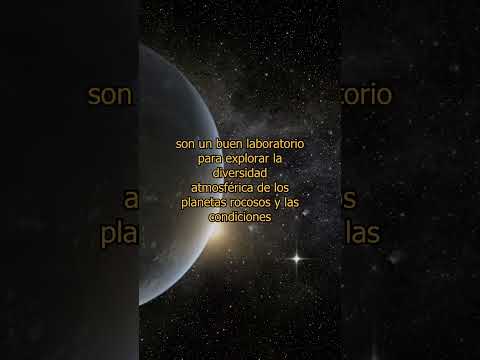 Hallan un gemelo