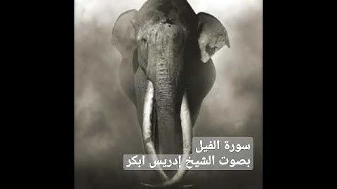 سورة الفيل بصوت الشيخ إدريس أبكر
