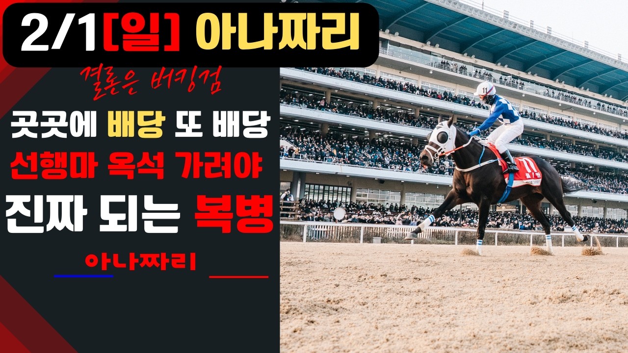 2/1 일요경마 아나짜리 신중하게 또 신중하게..배당으로