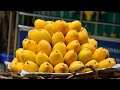 The sweet mango orchardfantasticblue81