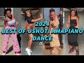  2024 best of ushotim  amapiano tiktok dance challenge compilation amapiano danceculture254