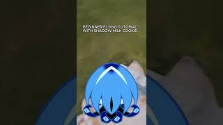 Beginner Flying Tutorial With Shadow Milk Cookie