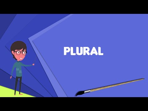 What is Plural? Explain Plural, Define Plural, Meaning of Plural