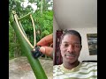 #bamboo #archery #viral #duet #youtubeshorts #shorts #reels