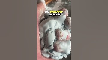 The Science of Non-Newtonian Fluids #viral