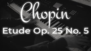 Chopin - Etude Op 25 No 5 | David Levine Resimi