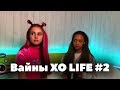 Вайны XO LIFE. Часть 2 // Ева Миллер, Бинет Сенн, Марк Макаров, Мари Сенн, Гэри XOlife