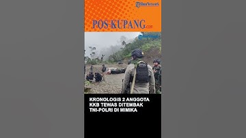 Kronologis 2 Anggota KKB Tewas Ditembak Aparat TNI-Polri di Mimika