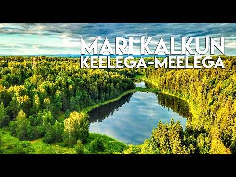 Mari Kalkun -
