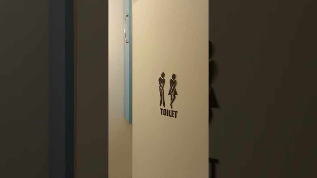 Vidéo Chambre dans une colocation 73&nbsp;m² Épinay-Sur-Seine (93800)