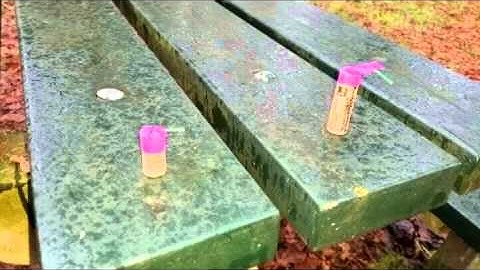 Fp3 small VS Fp3 original