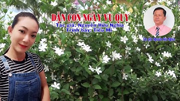 Ca cổ: DẶN CON NGÀY VU QUY - Trình bày: Tiểu Mi