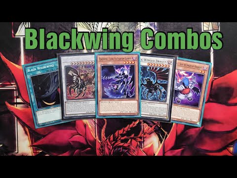 yugioh blackwing dragon deck Yu-Gi-Oh! Complete Tournament Ready! : Toys & Games up monster your opponent controls lose 700 ATK for each Black Feather Counter Blackwing Deck Profile July 2026