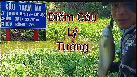 Chia Sẽ Điểm Câu Lý Tưởng _ Cầu Tràm Mù @tvchimcacanhfishing.
