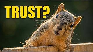 7 Surprising Signs a Squirrel Trusts You (Hidden Animal Behavior)