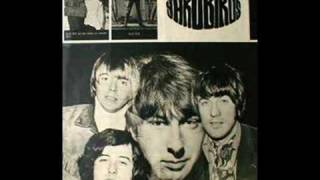 Got To Hurry-Yardbirds