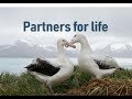Why some animals partner for life  prof tracey rogers