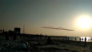 Арабские Соколы Над Пляжем Шарджи (Sharjah)