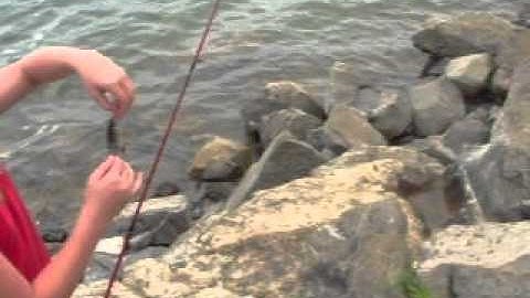 2 girls and 1 fish experience