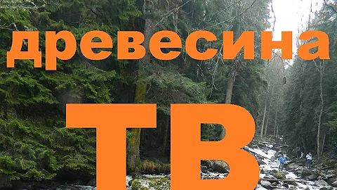Wood their texture and application. Породы древесины их текстура и применение