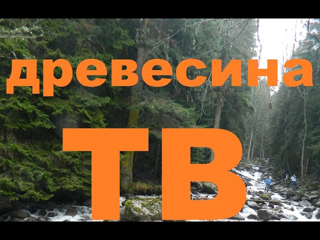 Wood their texture and application. Породы древесины их текстура и применение