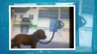 How 2 Get Rare Items ON Nintendogs DS Version