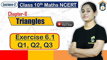 Chapter 6 Class 10 Ex 6.1 | Ex 6.1 Class 10 Q1, Q2, Q3 | Ch 6 Triangles Class 10 Maths