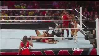 Nikki Bella Finished