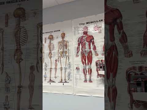 HCI College - FTL Medical Assisting Lab