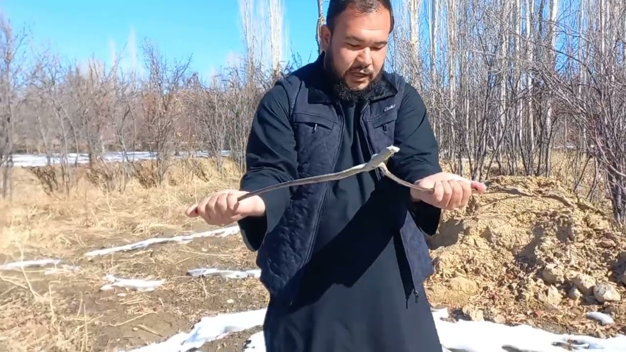 ترفند شناسایی آب زیر زمینی برای حفر چاه.