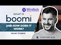 What Is Dell Boomi? || Dell Boomi Architecture & Workflow || How It Works || Online Training ||
