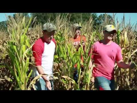murray state university hutson school of agriculture youtube agriculture school