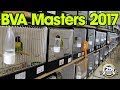 BVA Masters 2017 - Lovebird International Show