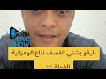   بنت وهران الحرة خارجة في بليغو كي دارتله مرمداته