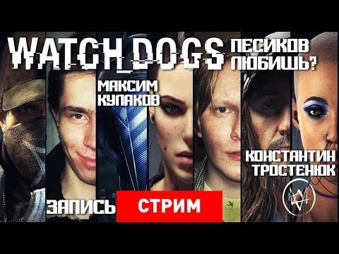 Видео: Watch_Dogs: Песиков любишь? [Запись]