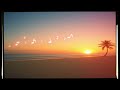 Mircea Dan Music X Dansul Din Noapte (Popcorn Greek Remix) 2
