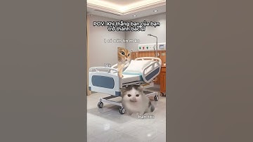 Cứu, nó toàn dùng Chat GPT ! #cat  #pov  #trending #fyp  #meowedits