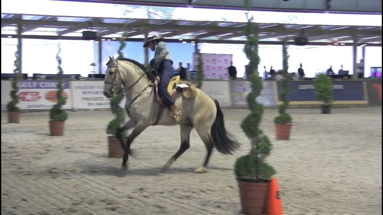 Andiamo and Carlos Carneiro EOH