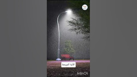 أرح قلبك قليلاً 😪 #اكسبلور #quran #قرآن_كريم #لايك #حالات_واتس #تلاوة_خاشعة #راحة_نفسية #مريحة
