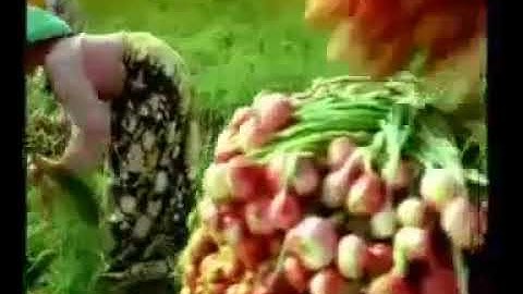 IKLAN JADUL INDOMIE - DARI SABANG SAMPAI MERAUKE