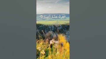 سورة القارعة #سورة_القارعة #القرآن_الكريم #اكسبلور #المصحف #لايك #احمد_العجمي @Ajmi_live