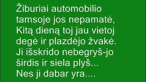 tnn toli toli
