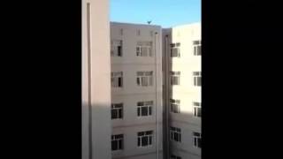 Живой будильник на весь дом! Живой будильник на весь дом!