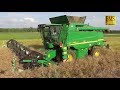 Raps dreschen John Deere Mähdrescher W650 - Rapsernte - Germany Canola harvesting